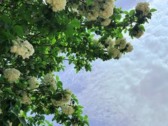 -南山风景名胜区