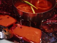-蜀辣居鲜货老火锅(红牌楼店)