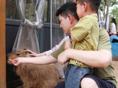 -灵玲国际马戏城