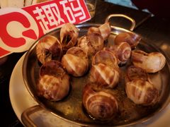 -金蜗牛