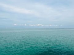 -广东惠东海龟国家级自然保护区