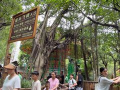 -长鹿旅游休博园