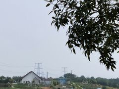 -紫颐香薰山谷景区