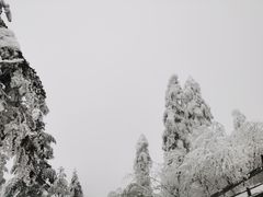 -峨眉山风景名胜区
