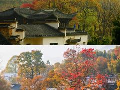 -塔川景区