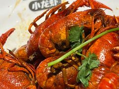 -龙巢盱眙龙虾·牛蛙·烧烤宵夜(八卦岭店)