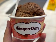 -哈根达斯(美罗城店)