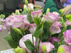 -怡花宜木鲜花店(朝阳路店)