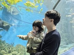 -福州罗源湾海洋世界旅游区