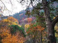 -北京上方山国家森林公园