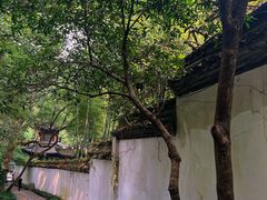 -杭州黄龙洞