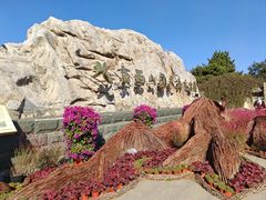 -北京西山国家森林公园