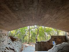 -上海佘山国家森林公园天马山园