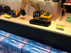 -宝坻温泉城服务区马可遇菠萝