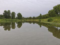 -洨河生态公园