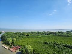 -东寨港红树林旅游区