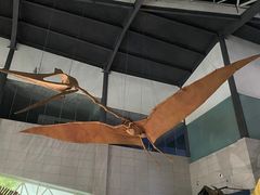 -湖南省地质博物馆