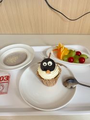 -中法母婴月子中心(南湖创始店)