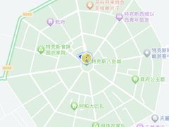 -特克斯八卦城