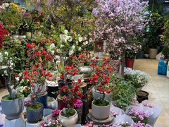 -双季花艺园艺市场(浦东店)