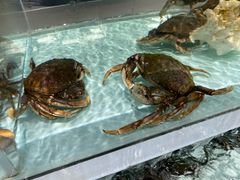 -盒马鲜生(新都心店)