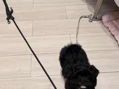 -YCHL Studios健身工作室(市二宫店)