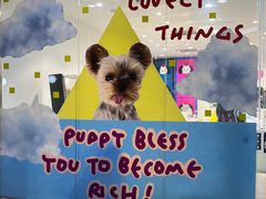 -萌物合辑(新中关购物中心店)