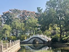 -武汉动物园
