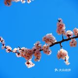 哈尔滨文庙