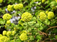 -北京动物园-畅观楼