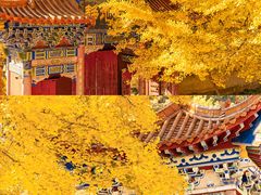 -遵化市禅林寺古银杏风景园