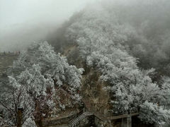 android_upload_pic-大明山自然探索公园