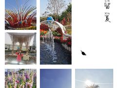 -海心沙亚运公园