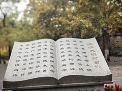 -大槐树寻根祭祖园