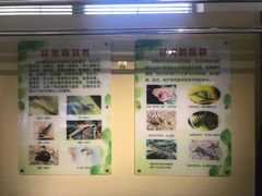 -上海昆虫博物馆