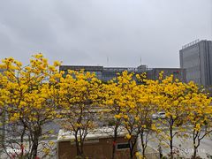 -文华公园(禅城区)