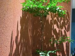 -柴门头啖汤·经典川菜·慢火汤品(锦城万达店)