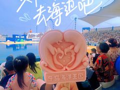 -秦皇岛乐岛海洋王国