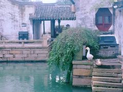 -沈厅酒家(周庄店)
