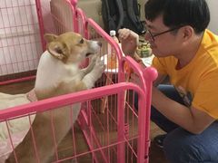 -Joy's Wish创意蛋糕定制&甜品台(乐虹坊精致生活广场店)