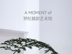 -罗红摄影艺术馆