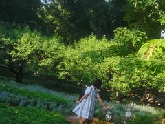 -香山公园