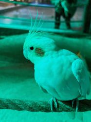 -酷嗒动物文化乐园(cutezoo西溪乐天城店)