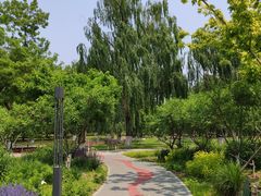 -莲花池公园