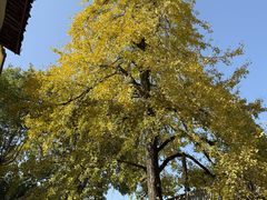 -蒋氏故居