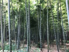 -同里国家湿地公园