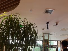 -一轩饺子馆(丽都店)