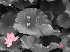 -西南交通大学(九里校区)
