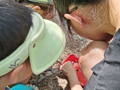 -碓臼峪自然风景区