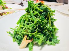 北极贝瓜尖藤-香港龙凤楼(巨鹿路洋房店)